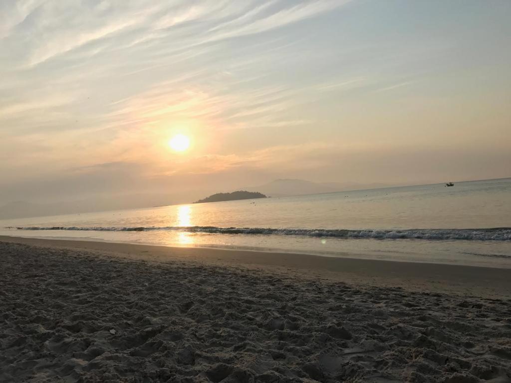 Ocean Life Florianopolis